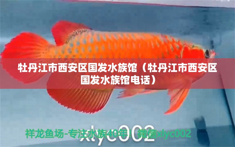 牡丹江市西安區(qū)國發(fā)水族館（牡丹江市西安區(qū)國發(fā)水族館電話）