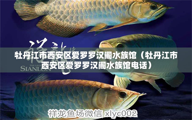 牡丹江市西安區(qū)愛羅羅漢閣水族館（牡丹江市西安區(qū)愛羅羅漢閣水族館電話）