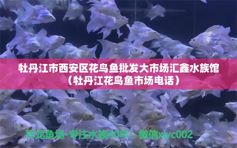 牡丹江市西安區(qū)花鳥魚批發(fā)大市場匯鑫水族館（牡丹江花鳥魚市場電話）