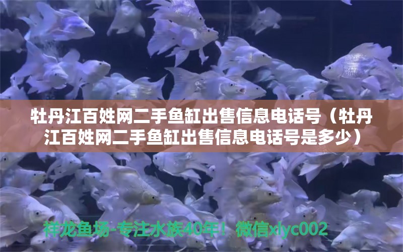 牡丹江百姓網(wǎng)二手魚(yú)缸出售信息電話(huà)號(hào)（牡丹江百姓網(wǎng)二手魚(yú)缸出售信息電話(huà)號(hào)是多少） 暹羅巨鯉