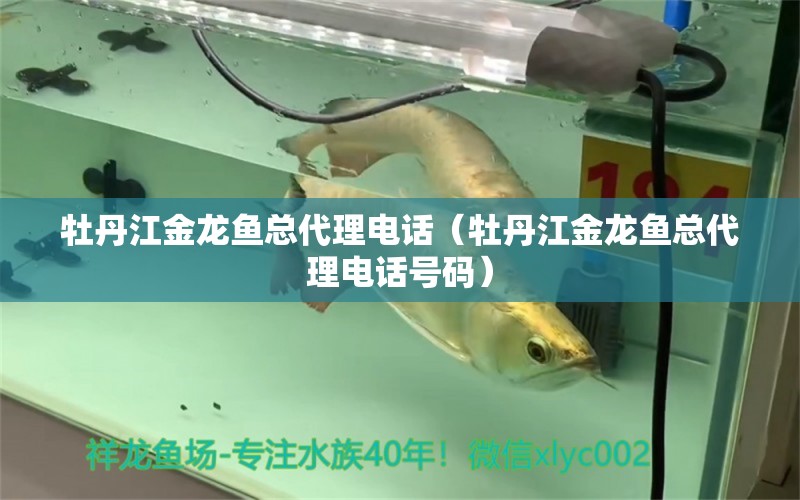 牡丹江金龍魚總代理電話（牡丹江金龍魚總代理電話號碼）