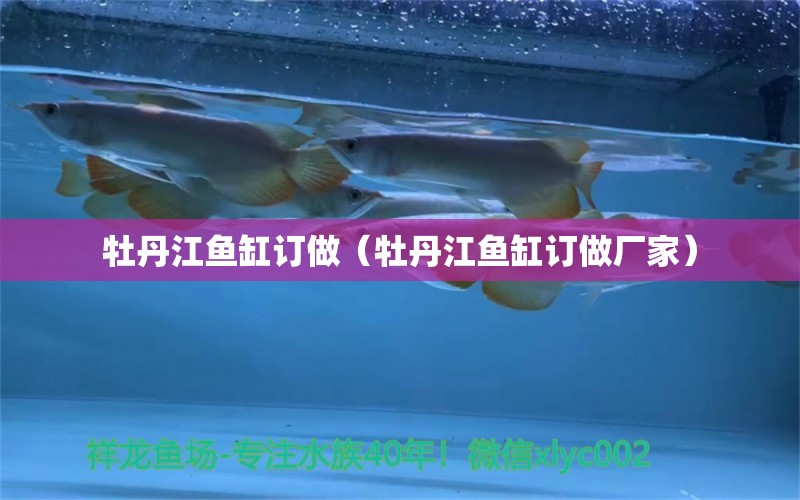 牡丹江魚缸訂做（牡丹江魚缸訂做廠家） 廣州龍魚批發(fā)市場