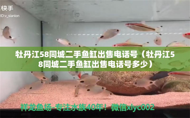 牡丹江58同城二手魚缸出售電話號(hào)（牡丹江58同城二手魚缸出售電話號(hào)多少）