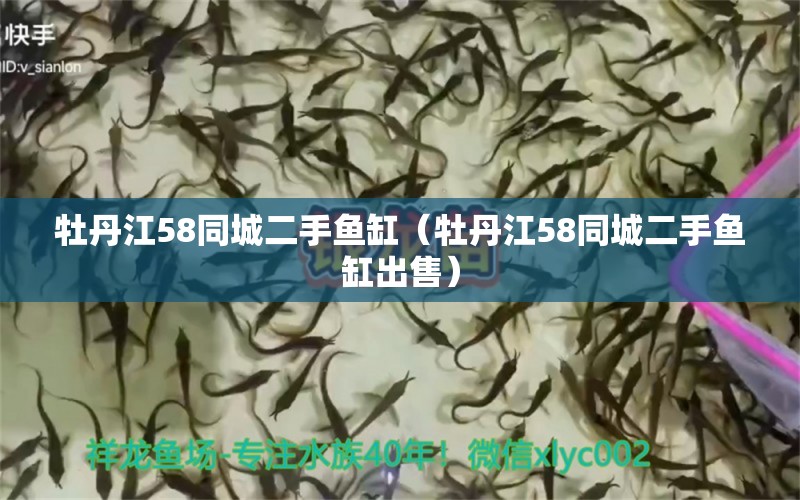 牡丹江58同城二手魚缸（牡丹江58同城二手魚缸出售）