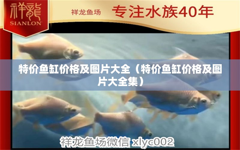 特價(jià)魚缸價(jià)格及圖片大全（特價(jià)魚缸價(jià)格及圖片大全集）