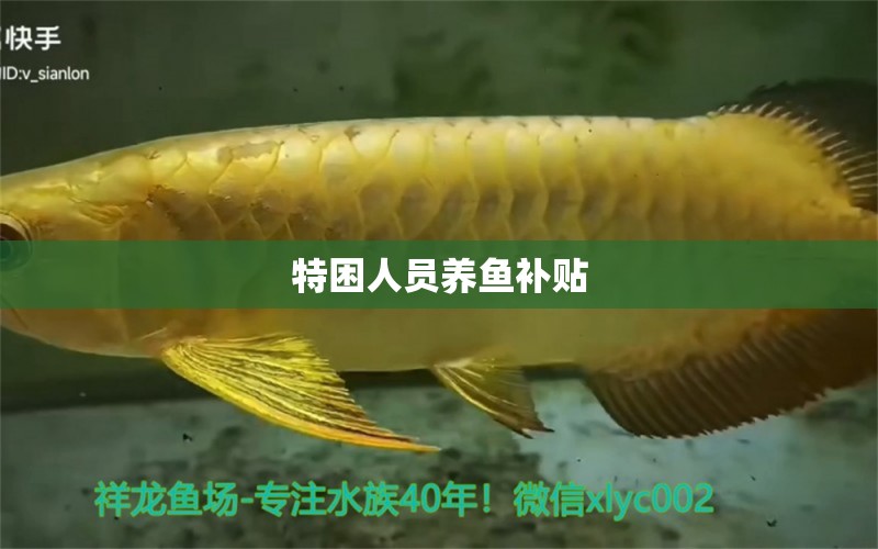 特困人員養(yǎng)魚補(bǔ)貼