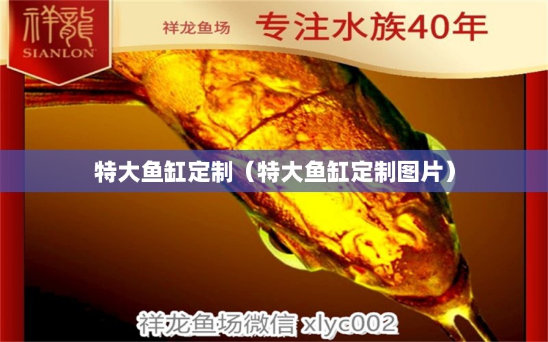 特大魚缸定制（特大魚缸定制圖片） 其他品牌魚缸