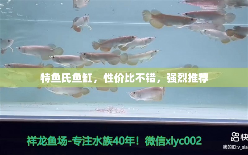 特魚氏魚缸，性價比不錯，強烈推薦 觀賞魚論壇 第4張