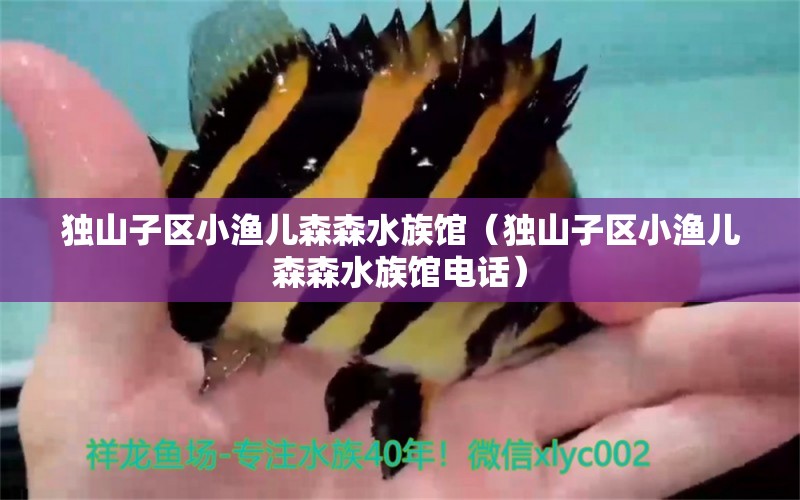 獨山子區(qū)小漁兒森森水族館（獨山子區(qū)小漁兒森森水族館電話） 全國水族館企業(yè)名錄