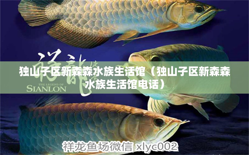 獨(dú)山子區(qū)新森森水族生活館（獨(dú)山子區(qū)新森森水族生活館電話(huà)）