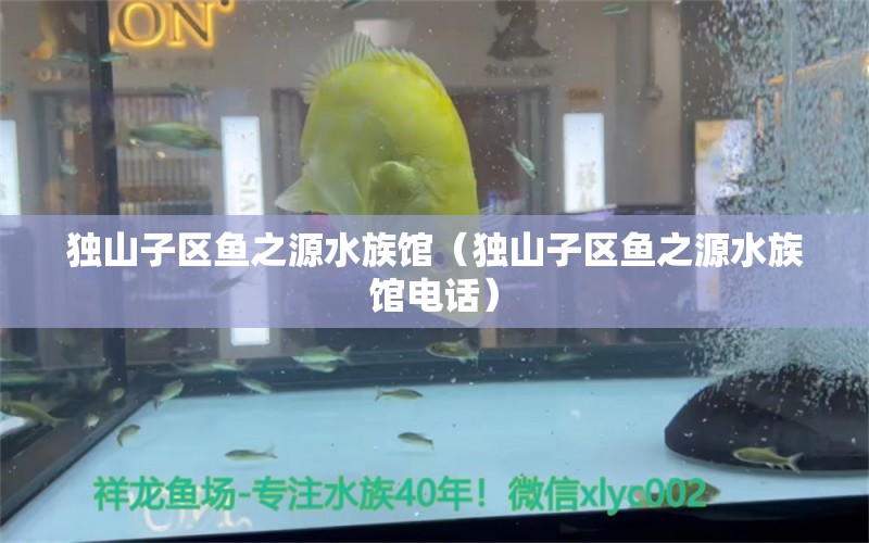 獨山子區(qū)魚之源水族館（獨山子區(qū)魚之源水族館電話） 全國水族館企業(yè)名錄