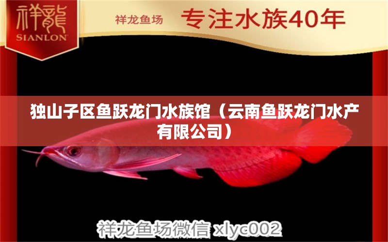 獨山子區(qū)魚躍龍門水族館（云南魚躍龍門水產(chǎn)有限公司）