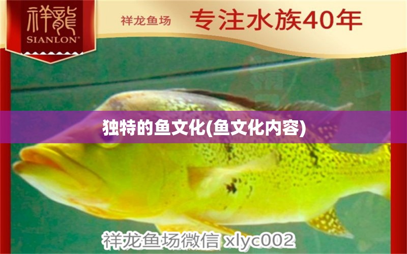 獨(dú)特的魚文化(魚文化內(nèi)容) 海水魚（海水魚批發(fā)）