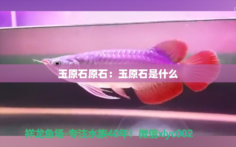 玉原石原石：玉原石是什么