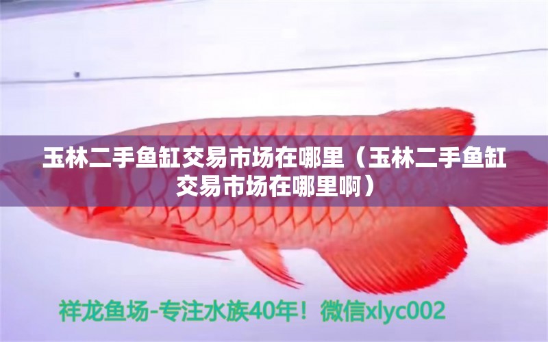 玉林二手魚(yú)缸交易市場(chǎng)在哪里（玉林二手魚(yú)缸交易市場(chǎng)在哪里?。?其他品牌魚(yú)缸