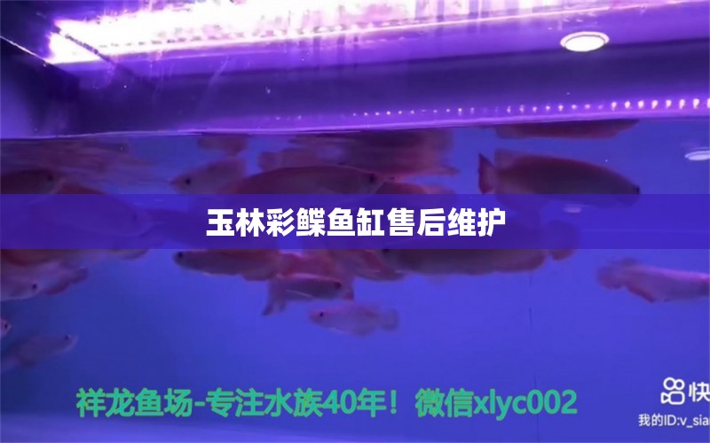 玉林彩鰈魚(yú)缸售后維護(hù) 彩鰈魚(yú)缸（彩蝶魚(yú)缸）