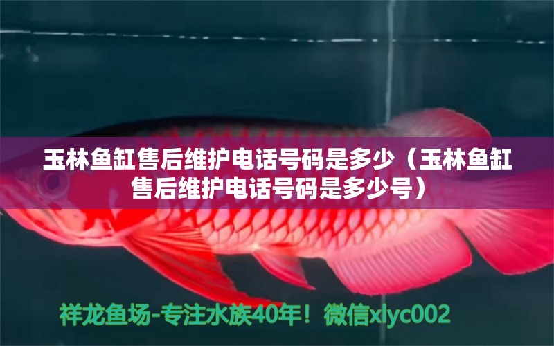 玉林魚(yú)缸售后維護(hù)電話(huà)號(hào)碼是多少（玉林魚(yú)缸售后維護(hù)電話(huà)號(hào)碼是多少號(hào)）