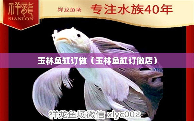 玉林魚缸訂做（玉林魚缸訂做店）