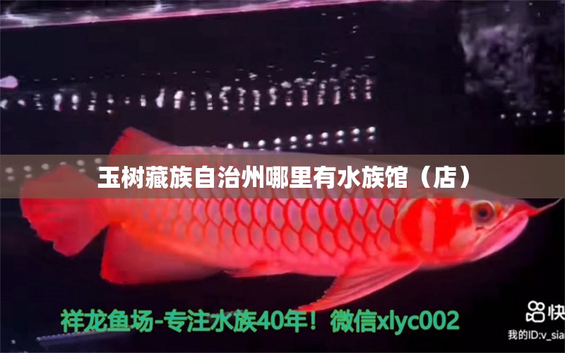 玉樹藏族自治州哪里有水族館（店） 觀賞魚水族批發(fā)市場(chǎng)