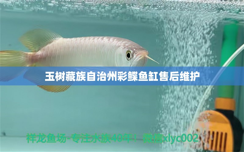 玉樹藏族自治州彩鰈魚缸售后維護(hù) 彩鰈魚缸（彩蝶魚缸）