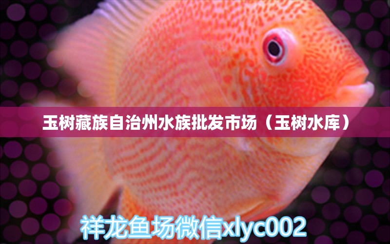 玉樹藏族自治州水族批發(fā)市場（玉樹水庫） 觀賞魚水族批發(fā)市場