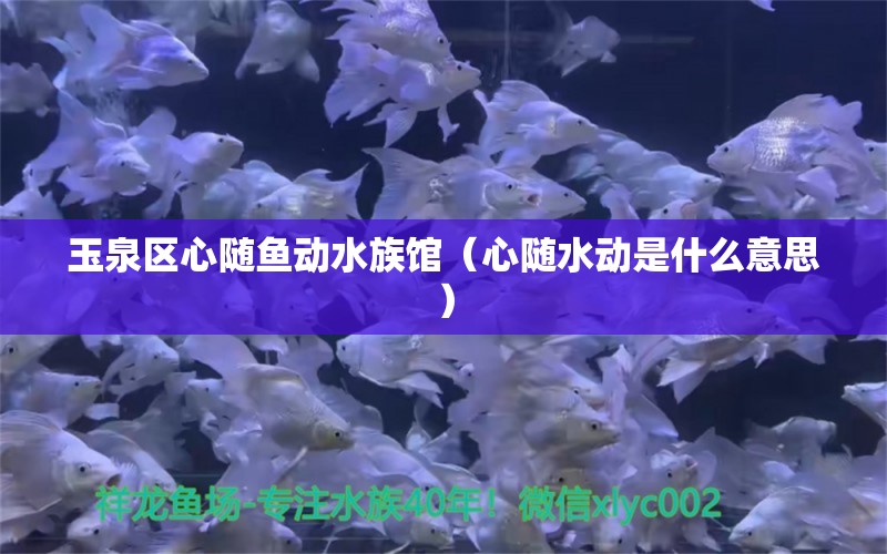 玉泉區(qū)心隨魚動水族館（心隨水動是什么意思）