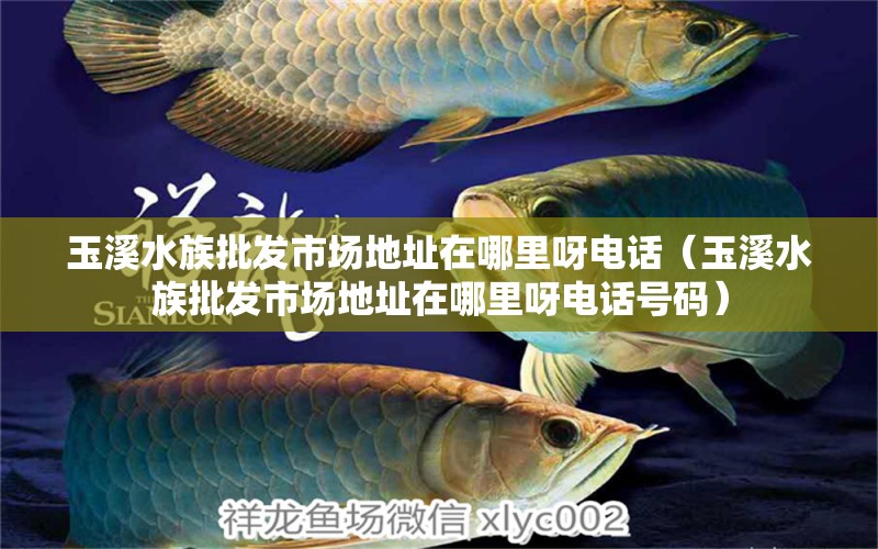 玉溪水族批發(fā)市場(chǎng)地址在哪里呀電話（玉溪水族批發(fā)市場(chǎng)地址在哪里呀電話號(hào)碼） 觀賞魚水族批發(fā)市場(chǎng)