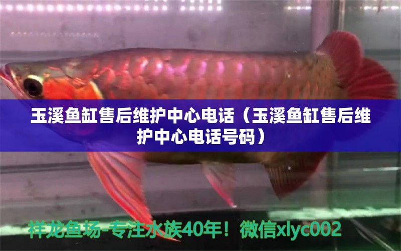 玉溪魚缸售后維護(hù)中心電話（玉溪魚缸售后維護(hù)中心電話號(hào)碼） 其他品牌魚缸