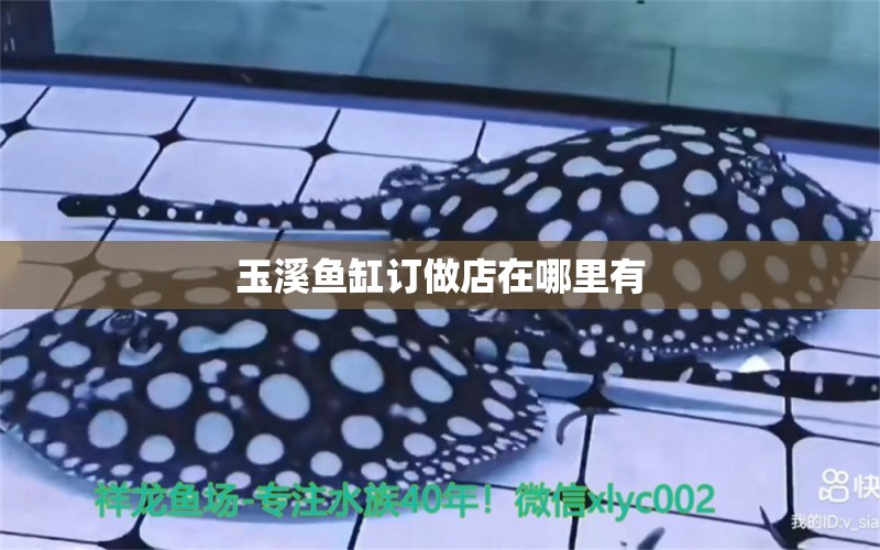 玉溪魚缸訂做店在哪里有