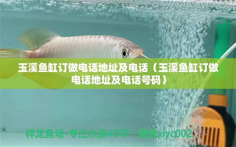 玉溪魚缸訂做電話地址及電話（玉溪魚缸訂做電話地址及電話號碼）