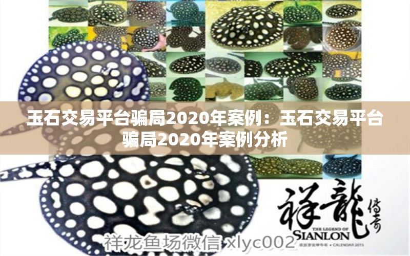 玉石交易平臺騙局2020年案例：玉石交易平臺騙局2020年案例分析 文玩