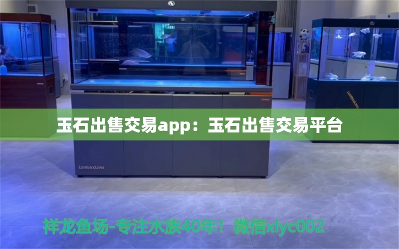 玉石出售交易app：玉石出售交易平臺