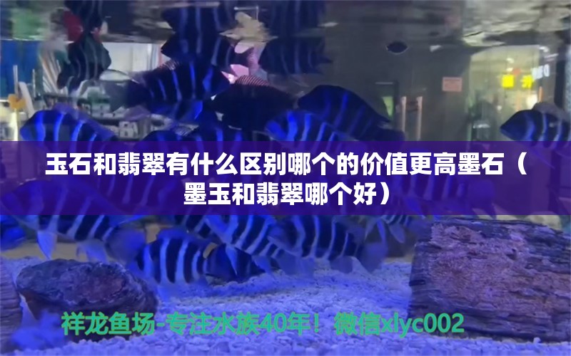 玉石和翡翠有什么區(qū)別哪個的價值更高墨石（墨玉和翡翠哪個好） 文玩