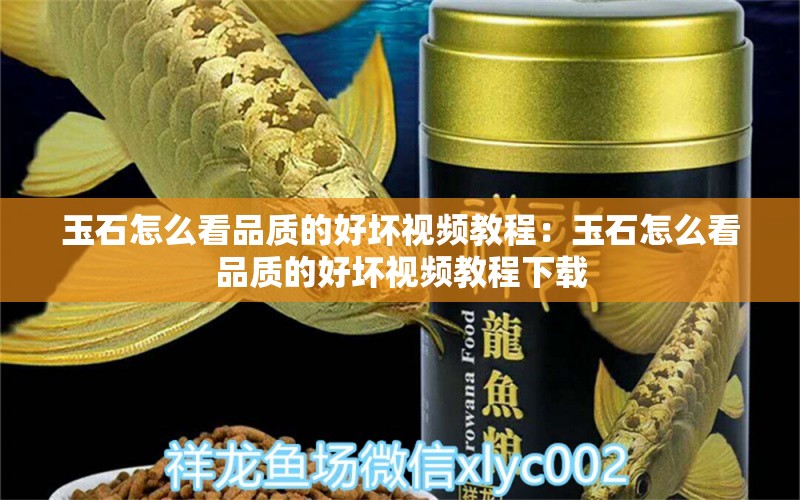 玉石怎么看品質(zhì)的好壞視頻教程：玉石怎么看品質(zhì)的好壞視頻教程下載