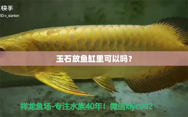 玉石放魚缸里可以嗎？ 養(yǎng)魚知識