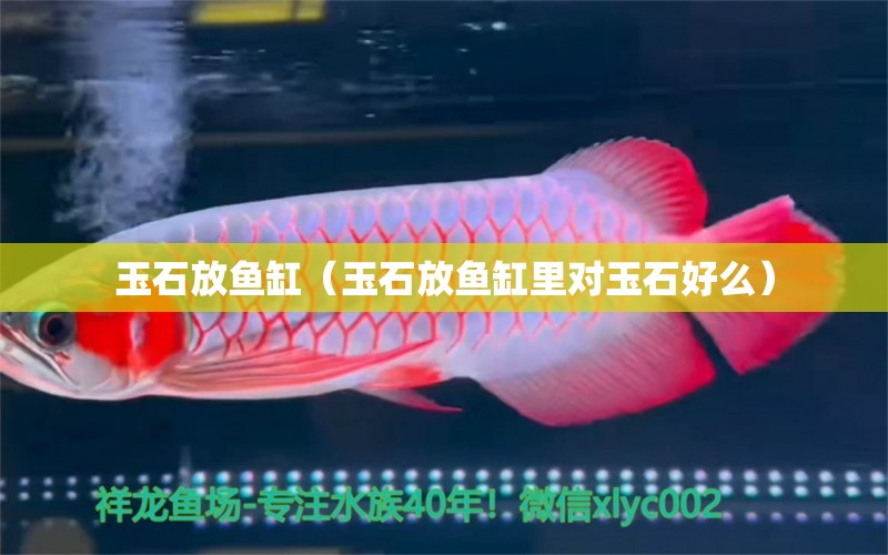 玉石放魚缸（玉石放魚缸里對玉石好么）