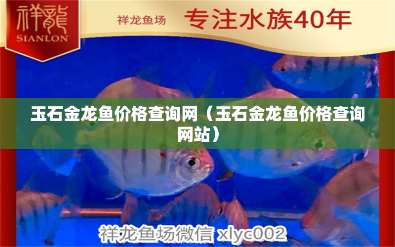 玉石金龍魚價格查詢網(wǎng)（玉石金龍魚價格查詢網(wǎng)站）