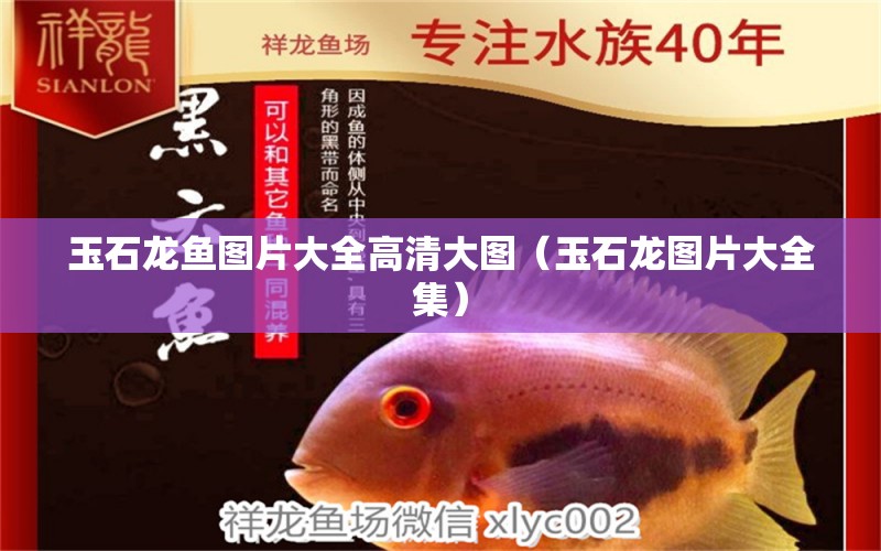 玉石龍魚圖片大全高清大圖（玉石龍圖片大全集） 祥龍魚藥系列