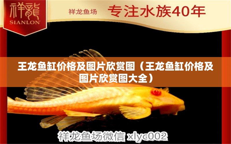 王龍魚缸價格及圖片欣賞圖（王龍魚缸價格及圖片欣賞圖大全） 廣州龍魚批發(fā)市場