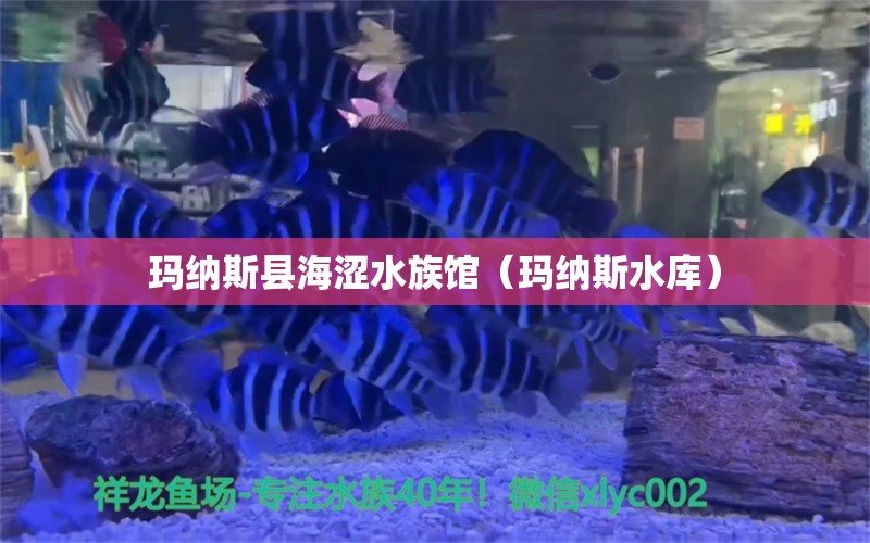 瑪納斯縣海澀水族館（瑪納斯水庫）