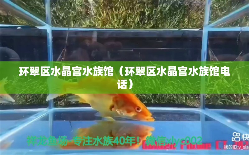 環(huán)翠區(qū)水晶宮水族館（環(huán)翠區(qū)水晶宮水族館電話） 全國水族館企業(yè)名錄 第1張