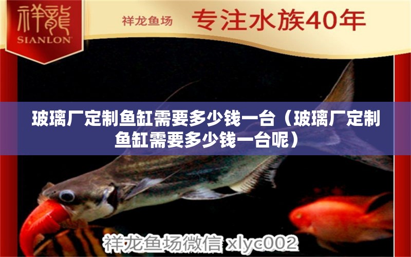 玻璃廠定制魚缸需要多少錢一臺(tái)（玻璃廠定制魚缸需要多少錢一臺(tái)呢）