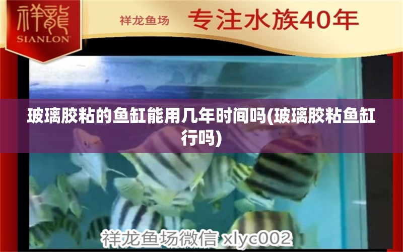 玻璃膠粘的魚缸能用幾年時(shí)間嗎(玻璃膠粘魚缸行嗎) 水族雜談