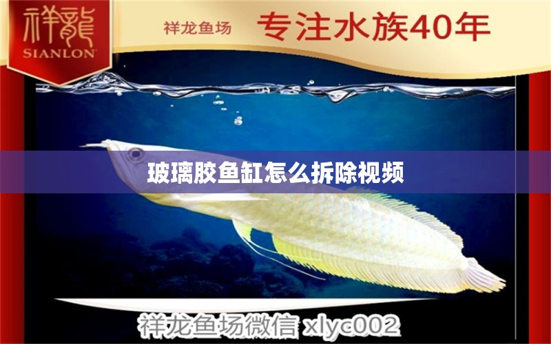 玻璃膠魚缸怎么拆除視頻 水族問答 第1張