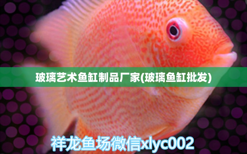 玻璃藝術魚缸制品廠家(玻璃魚缸批發(fā)) 大正錦鯉魚