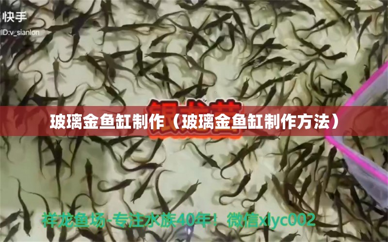 玻璃金魚缸制作（玻璃金魚缸制作方法）