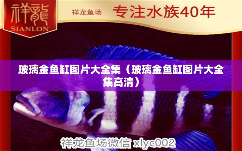 玻璃金魚缸圖片大全集（玻璃金魚缸圖片大全集高清）