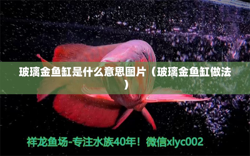 玻璃金魚缸是什么意思圖片（玻璃金魚缸做法） 可麗愛魚缸