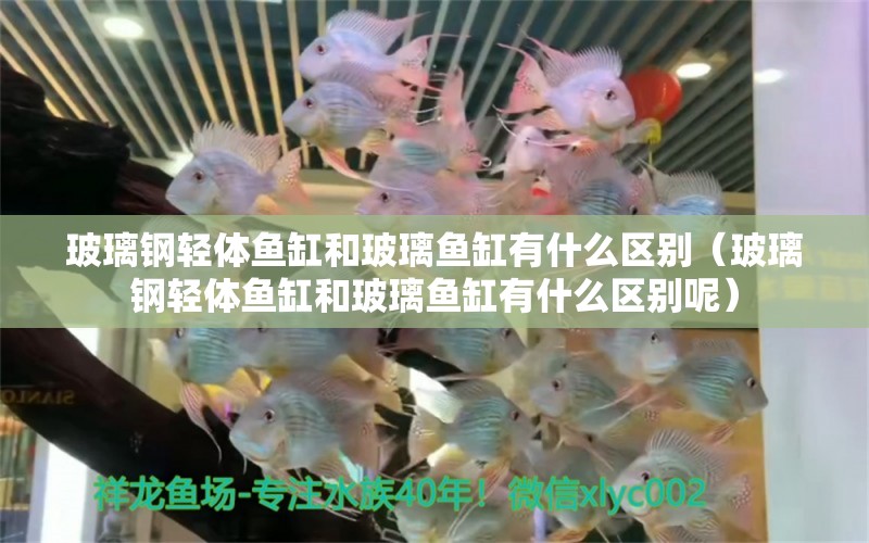 玻璃鋼輕體魚缸和玻璃魚缸有什么區(qū)別（玻璃鋼輕體魚缸和玻璃魚缸有什么區(qū)別呢） 白化火箭魚