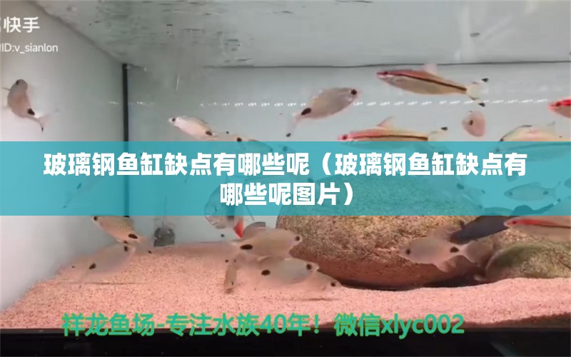 玻璃鋼魚缸缺點有哪些呢（玻璃鋼魚缸缺點有哪些呢圖片）